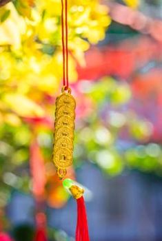 tứ sắc trực tuyến 8Day